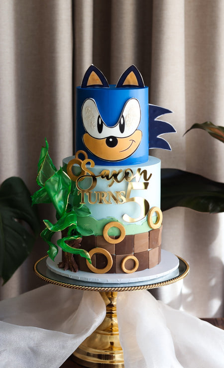 Two-tier blue character themed birthday cake with a chequered base and green foliage